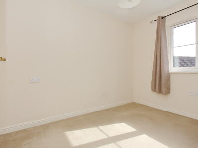 Picture 11
